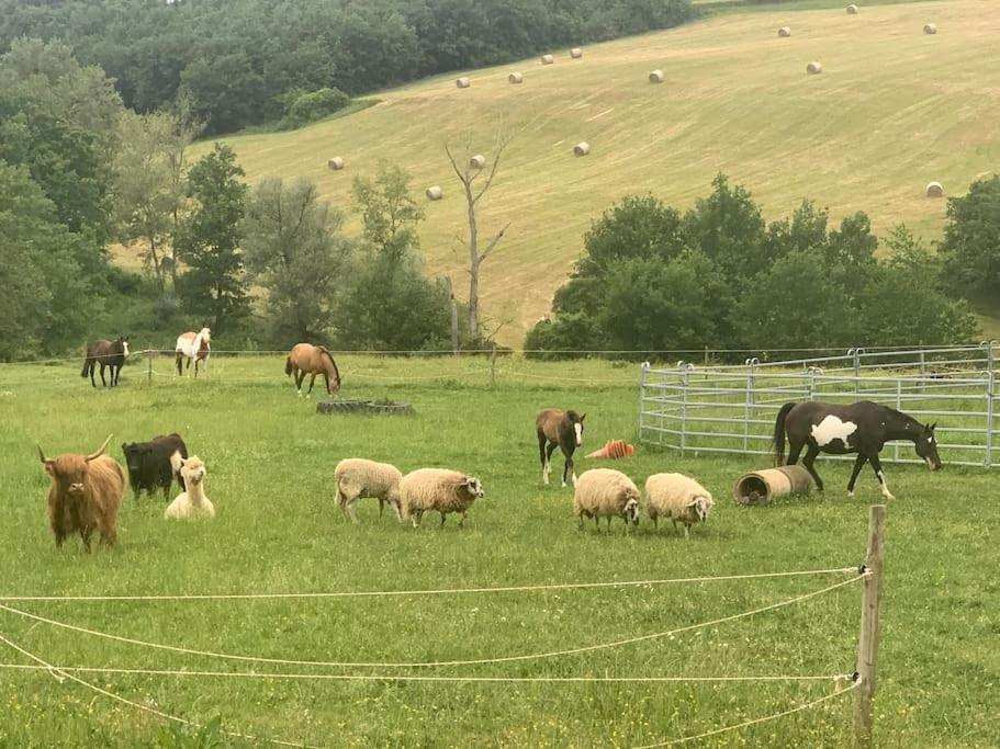 Gite A La Ferme Avec Jacuzzi Et Piscine Chauffee Saint-Felix-de-Tournegat Extérieur photo